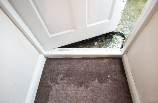 Wet Carpet Restoration in Holly Springs