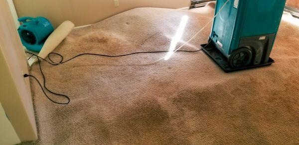 Carpet Water Extraction in Holly Springs