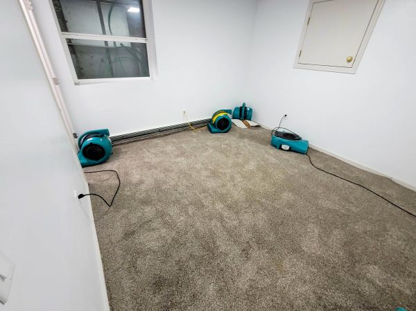Flood Restoration Service in Holly Springs