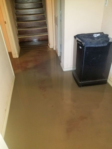 Emergency Water Removal in Holly Springs
