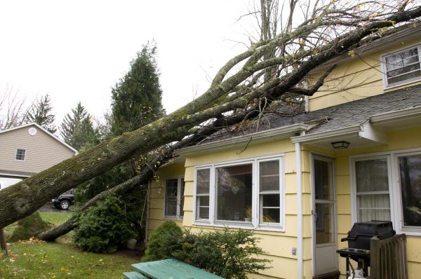 Hurricane Damage Repair in Holly Springs